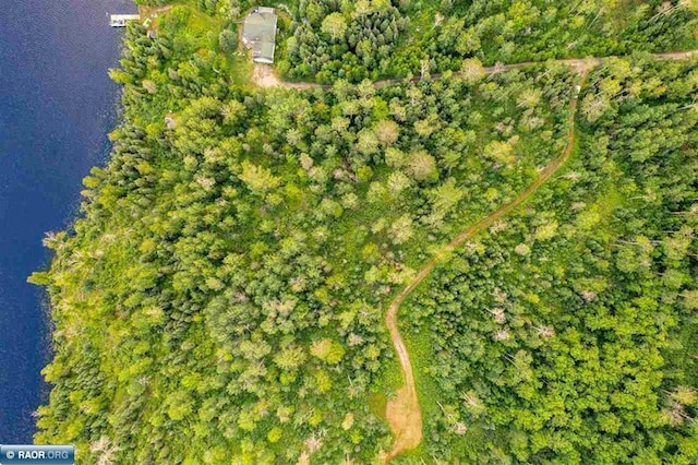 TBD Koski Rd, Tower, MN 55790 - photo 13