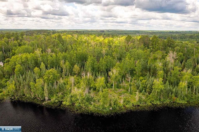 TBD Koski Rd, Tower, MN 55790 - photo 14