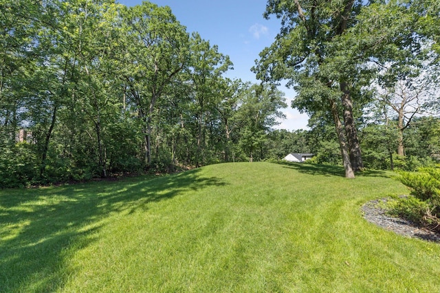 33 Eagle Ridge Rd, North Oaks, MN 55127 - view of green lawn