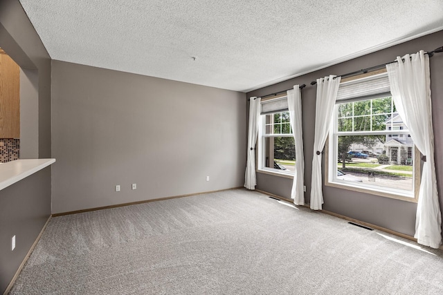 2079 Clover Ridge Dr, Chaska, MN 55318 - spare room featuring light carpet and a textured ceiling