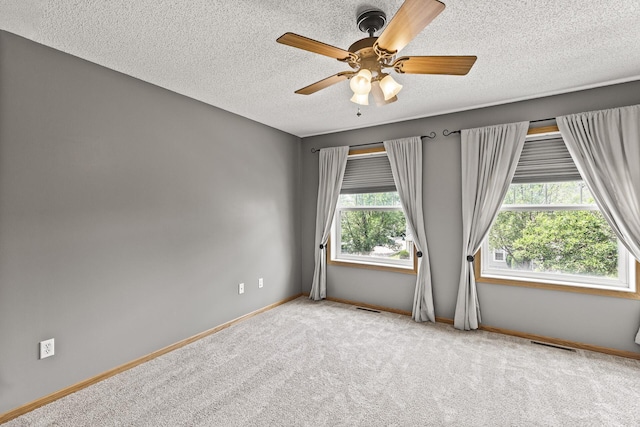 2079 Clover Ridge Dr, Chaska, MN 55318 - unfurnished room featuring a textured ceiling, carpet flooring, plenty of natural light, and a ceiling fan