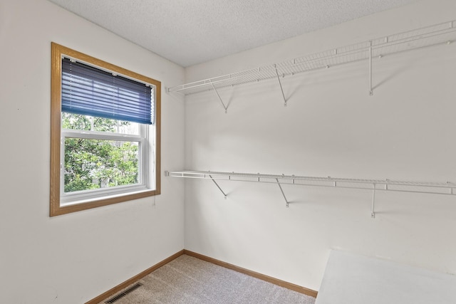 2079 Clover Ridge Dr, Chaska, MN 55318 - walk in closet featuring carpet floors