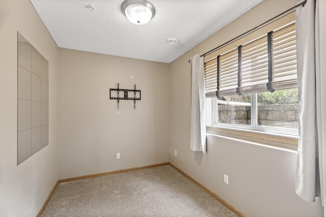 2079 Clover Ridge Dr, Chaska, MN 55318 - carpeted spare room with a textured ceiling and baseboards