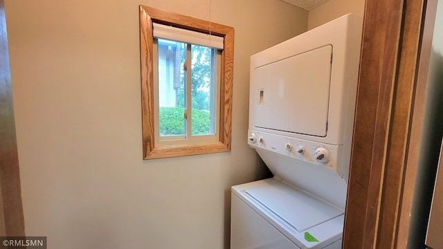 1529 Millpond Ct, Chaska, MN 55318 - washroom with stacked washer / dryer