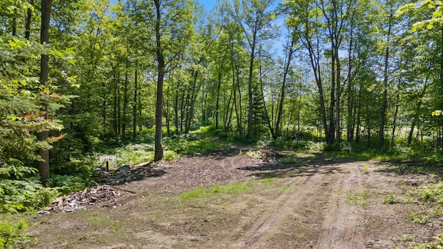 67246 340th Ave, Hill Lake Twp, MN 55748 - photo 2