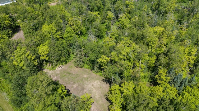 67246 340th Ave, Hill Lake Twp, MN 55748 - photo 17