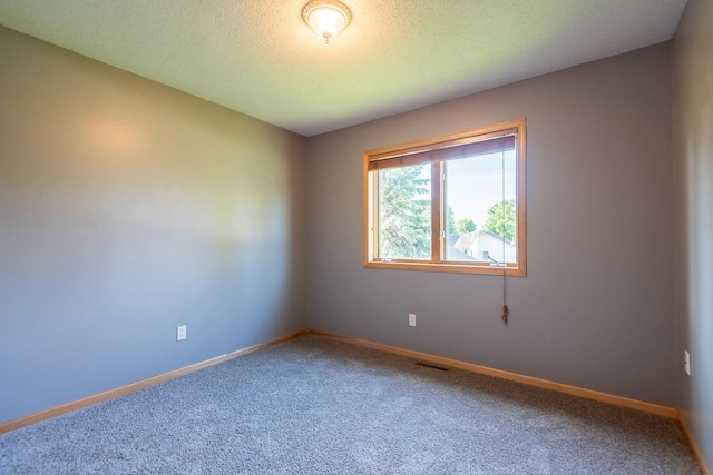 448 Tuttle Dr, Hastings, MN 55033 - photo 13