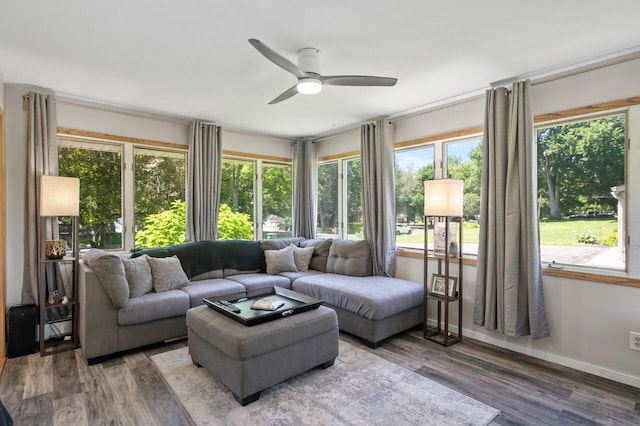 17220 138th Ave N, Dayton, MN 55327 - sunroom / solarium featuring plenty of natural light and wood finished floors