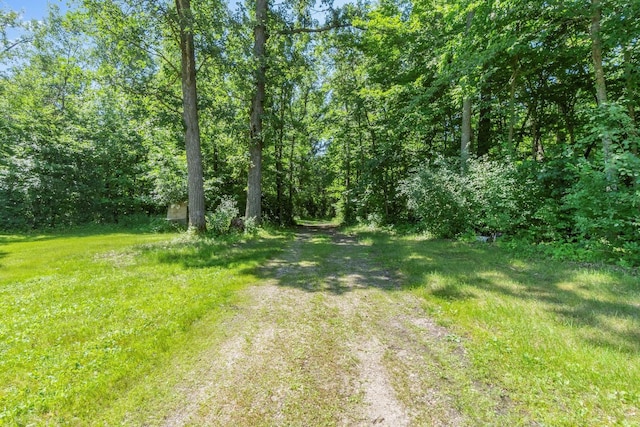 14100 Iris Rd NE, Spruce Hill Twp, MN 56446 - photo 15