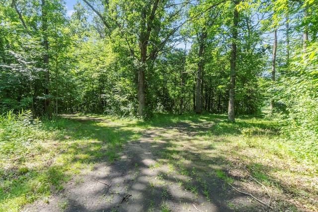 14100 Iris Rd NE, Spruce Hill Twp, MN 56446 - photo 16