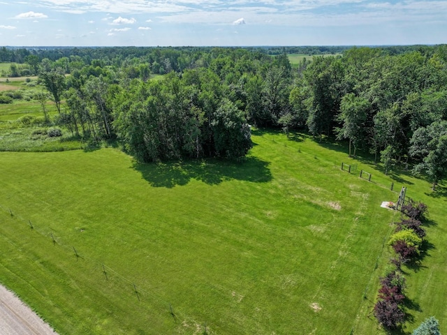 14100 Iris Rd NE, Spruce Hill Twp, MN 56446 - photo 60