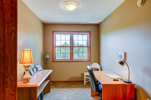 W1162 Aspen Dr, Spring Valley, WI 54767 - office featuring carpet floors and a textured ceiling