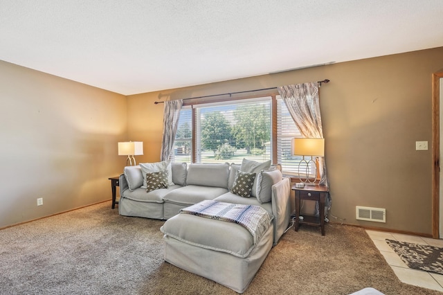 1200 Holley Ave, Saint Paul Park, MN 55071 - photo 2