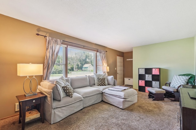 1200 Holley Ave, Saint Paul Park, MN 55071 - photo 5