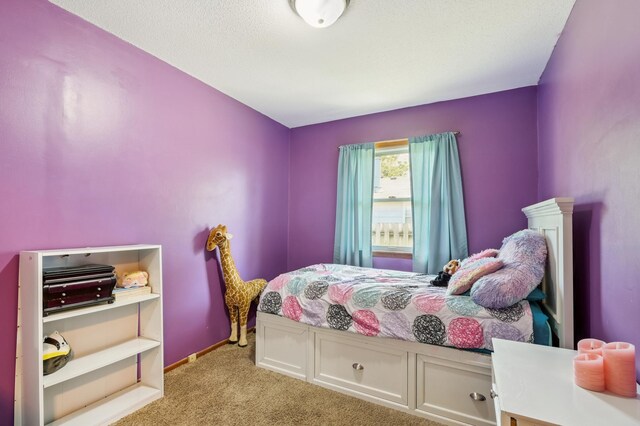 1200 Holley Ave, Saint Paul Park, MN 55071 - photo 13
