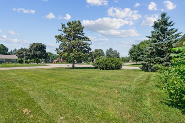 1200 Holley Ave, Saint Paul Park, MN 55071 - photo 24