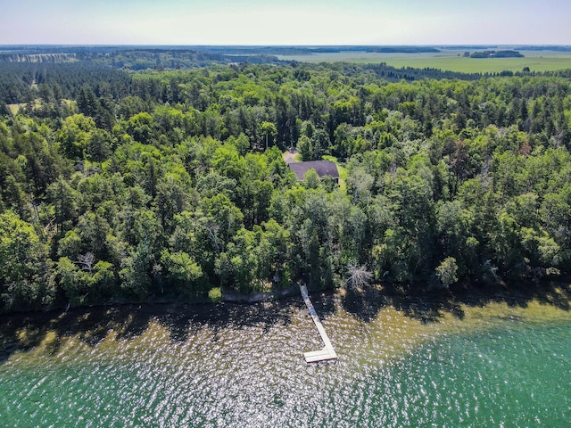 16735 Downey Dr, Park Rapids, MN 56470 - view of property location with a forest