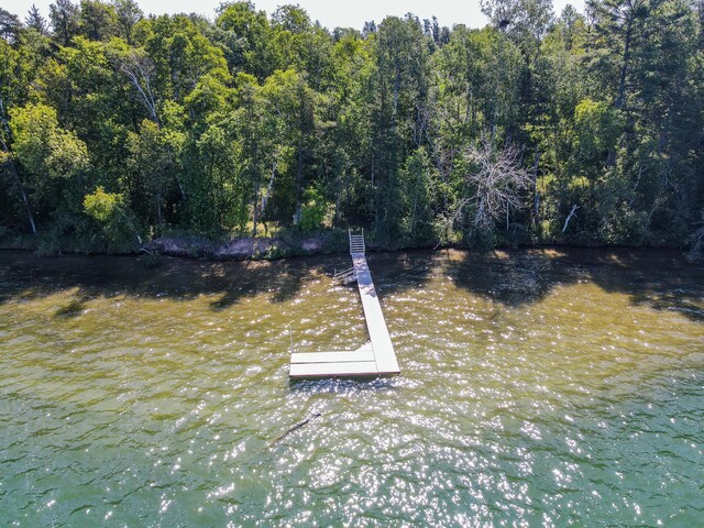 16735 Downey Dr, Park Rapids, MN 56470 - dock area featuring a forest view