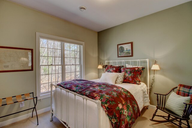 16735 Downey Dr, Park Rapids, MN 56470 - bedroom featuring carpet floors and multiple windows