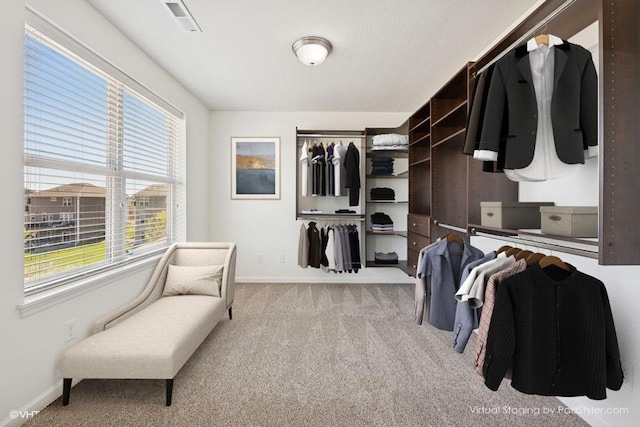 3618 112th Cir NE, Blaine, MN 55449 - walk in closet featuring carpet