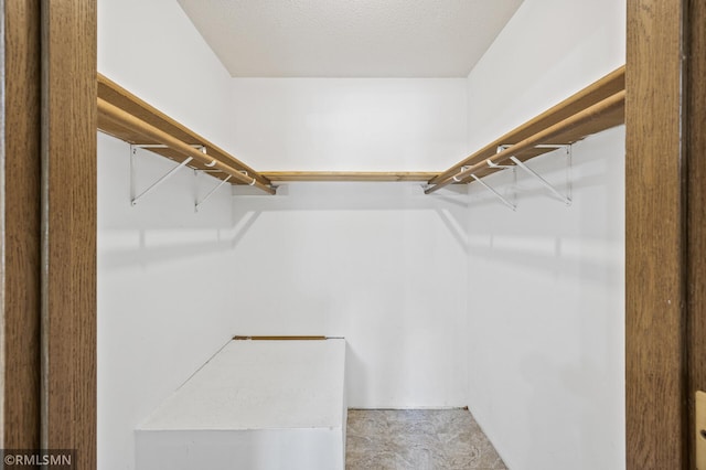 1111 Royal Oaks Dr, Shoreview, MN 55126 - view of spacious closet