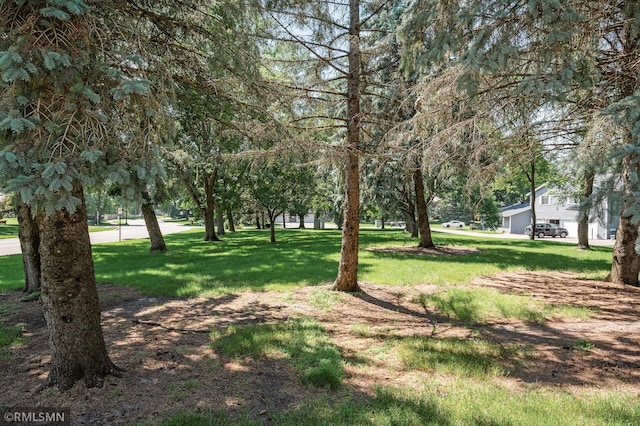 1111 Royal Oaks Dr, Shoreview, MN 55126 - view of green lawn