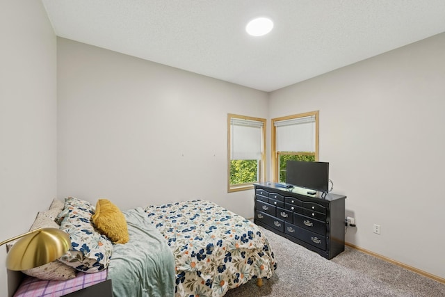 118 Shannon Dr, Jackson Twp, MN 55379 - photo 28