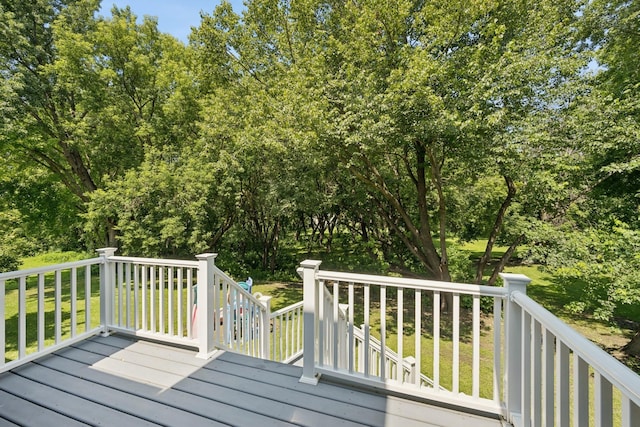 118 Shannon Dr, Jackson Twp, MN 55379 - photo 51