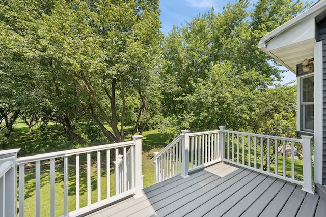 118 Shannon Dr, Jackson Twp, MN 55379 - photo 55