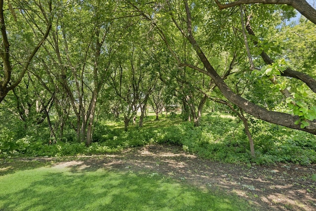 118 Shannon Dr, Jackson Twp, MN 55379 - photo 56