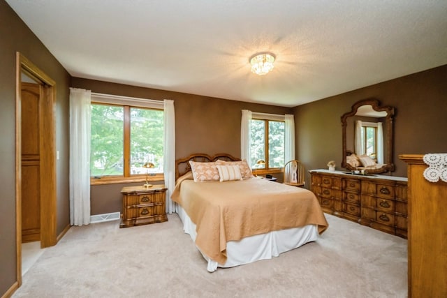 8891 Montegue Ter, Brooklyn Park, MN 55443 - photo 19
