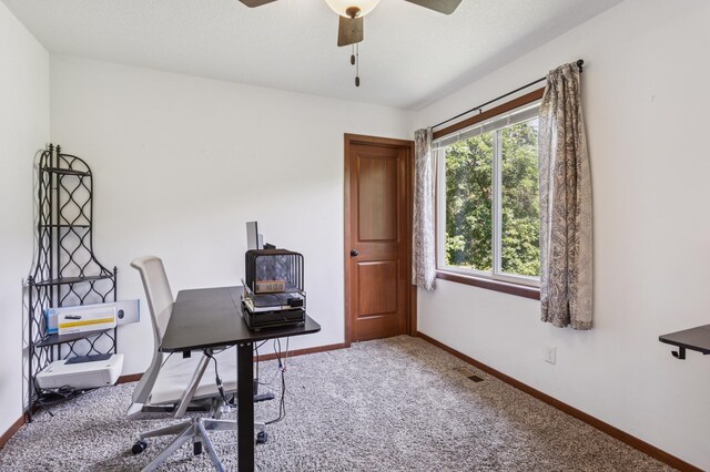 960 Carver Beach Rd, Chanhassen, MN 55317 - photo 35