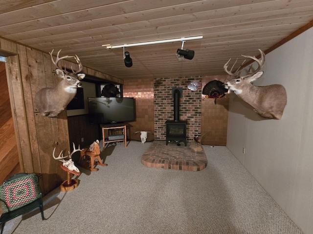 21200 5th St NW, Colfax Twp, MN 56273 - carpeted living room with a wood stove, wooden ceiling, and wood walls