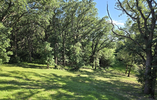 21200 5th St NW, Colfax Twp, MN 56273 - view of green lawn