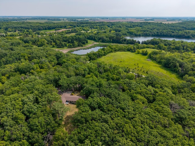 21200 5th St NW, Colfax Twp, MN 56273 - aerial view of a nearby body of water and a forest