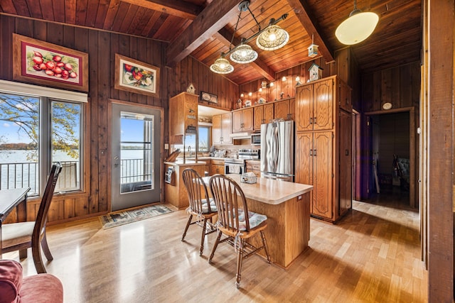13235 80th St NW, Annandale, MN 55302 - kitchen featuring appliances with stainless steel finishes, a wooden ceiling with exposed beams, wood walls, healthy amount of natural light, and light wood-style floors