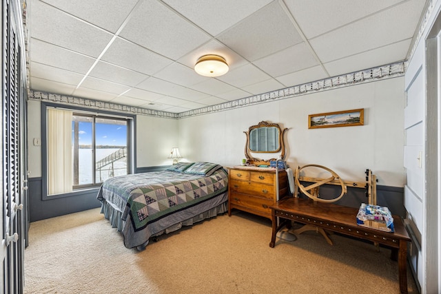 13235 80th St NW, Annandale, MN 55302 - bedroom with carpet floors and a drop ceiling