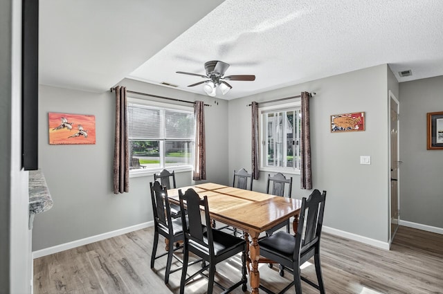 15880 Griffon Path, Apple Valley, MN 55124 - photo 6