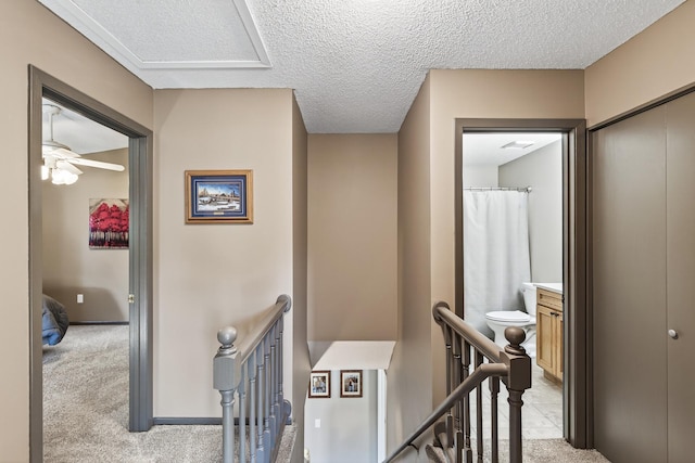 15880 Griffon Path, Apple Valley, MN 55124 - photo 24