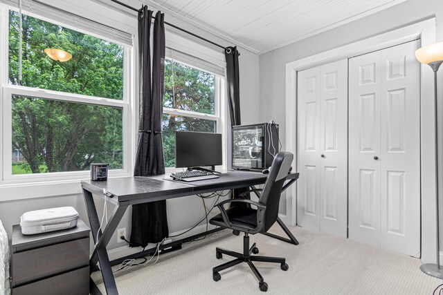 2168 Centerview Ln, Mound, MN 55364 - office area featuring carpet and crown molding