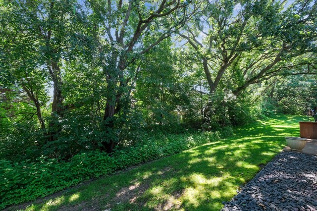 10370 Eagle Pointe Trl, Woodbury, MN 55129 - photo 26