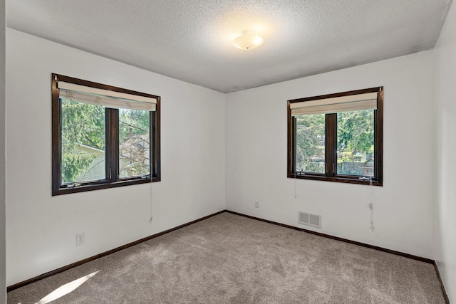 350 Quality Ave N, Lakeland, MN 55043 - photo 23