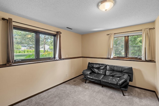 350 Quality Ave N, Lakeland, MN 55043 - photo 32