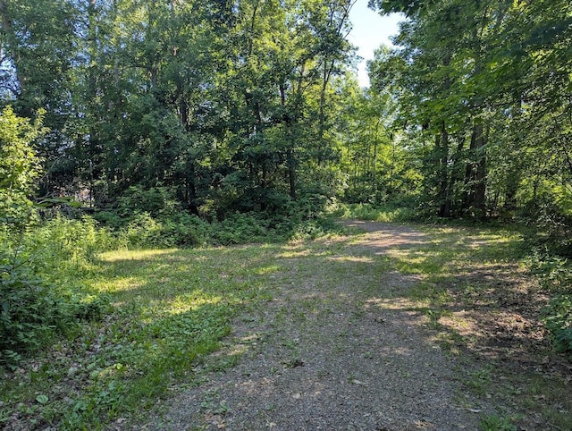 51256 207th Pl, Mcgregor, MN 55760 - photo 6