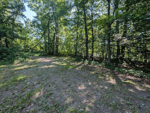 51256 207th Pl, Mcgregor, MN 55760 - photo 8