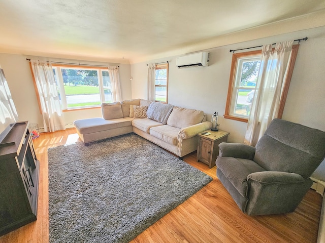 460 3rd St, Bird Island, MN 55310 - living area featuring a wall mounted AC and light wood-type flooring