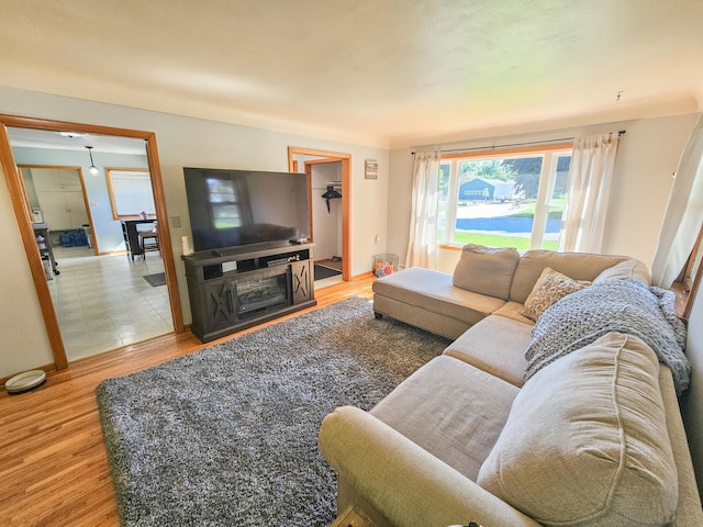 460 3rd St, Bird Island, MN 55310 - living room with wood finished floors and baseboards