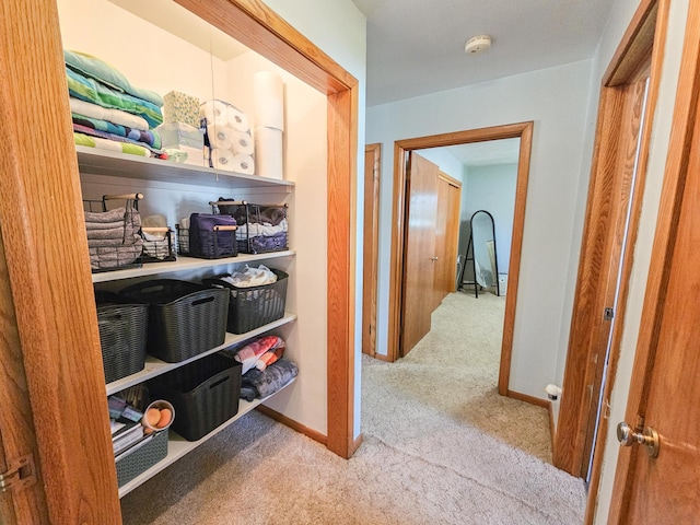 460 3rd St, Bird Island, MN 55310 - corridor with carpet and baseboards