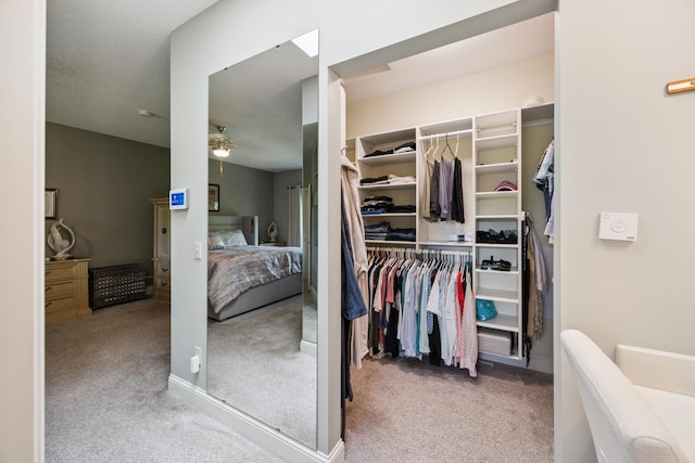 13703 47th St NE, Saint Michael, MN 55376 - view of closet