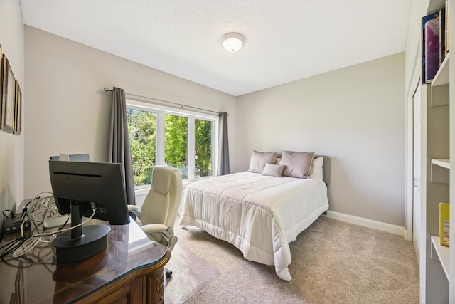 13703 47th St NE, Saint Michael, MN 55376 - bedroom with carpet and baseboards